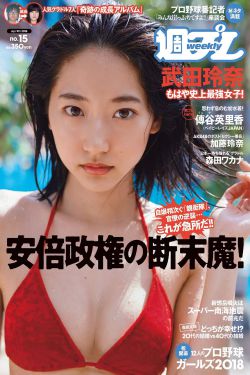 宁安如梦原著小说免费阅读无弹窗